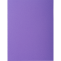 Pack of 30 insert folders ROCKS 80- 22x31cm/ Pc.