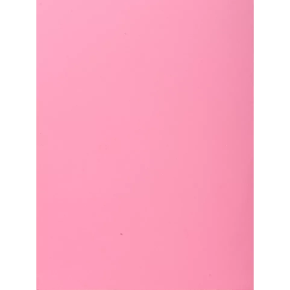 Pk 100 Folders SUPER 160 1 Flap Pink/...