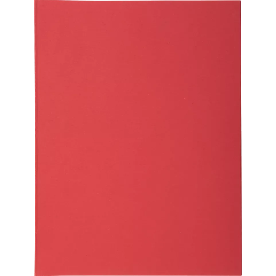 Pk 100 Folders SUPER 160 Salmon/ Pc.