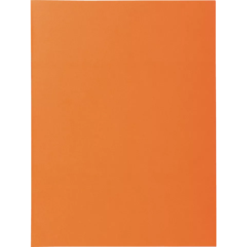 Pk 100 Folders SUPER 160 Salmon/ Pc.