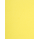 Pk 100 Sq. Folders Flash 220g Ast/ Pc.