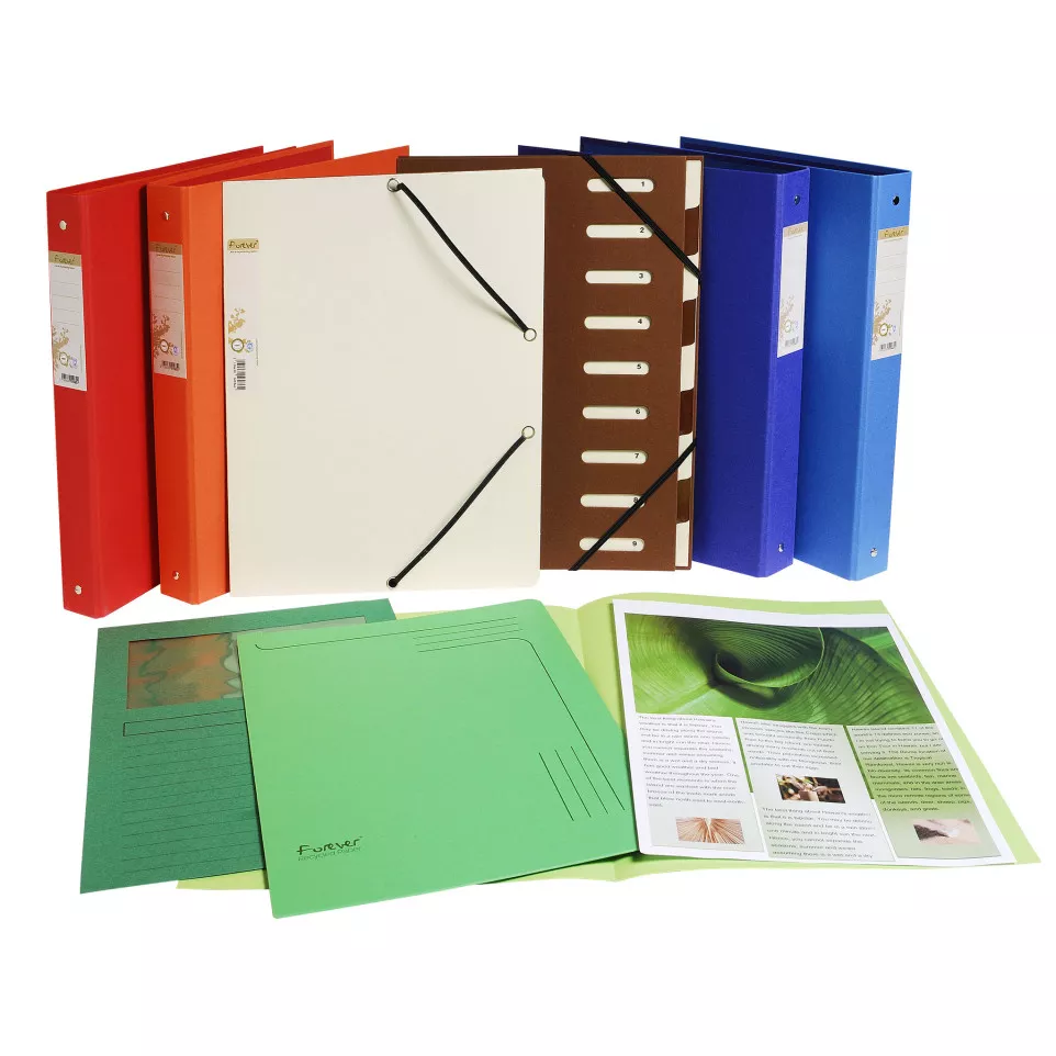 Pk 100 Sq. Folders Flash 220g Ast/ Pc.