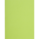 Pk 100 Insert Folders Flash 80g/ Pc.