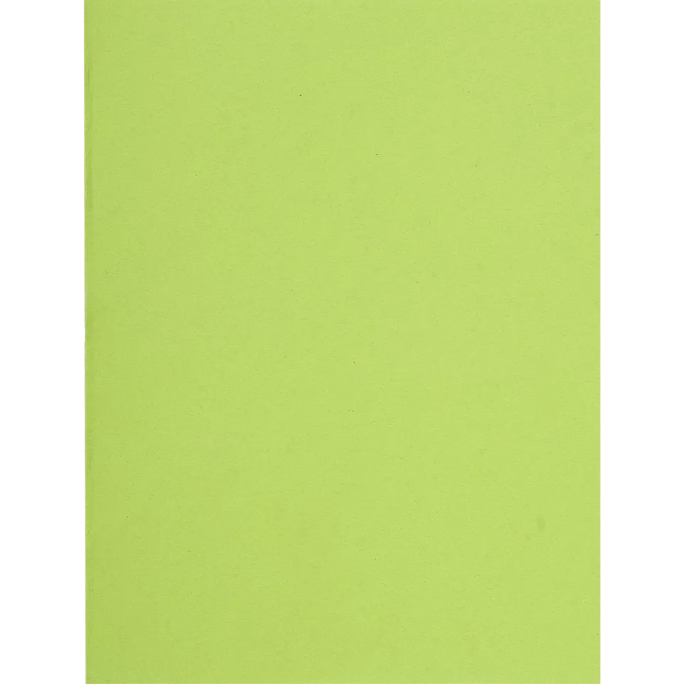 Pk 100 Insert Folders Flash 80g/ Pc.