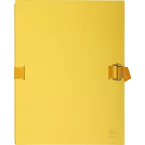 Expanding spine folder with flap on the bottom tinted paper - A4/ Pc.