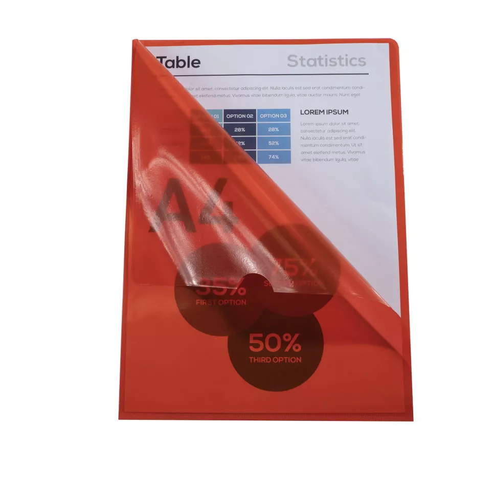 Pk 10 Cut Flush Fldr PVC A4 0.13mm...