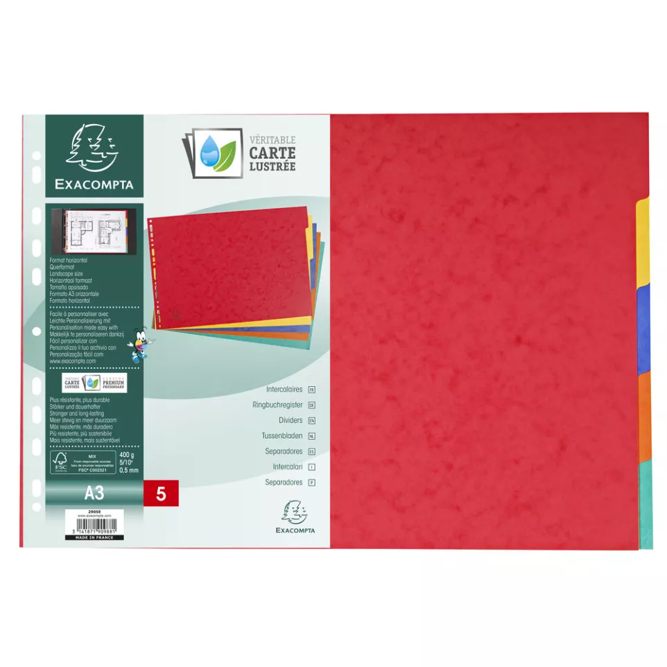 Intercalaires carte lustrée 400g 5...