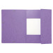 Folder 3 Flap Elastic A4 Max Cap L Grn/ Pc.