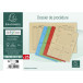 Pack of 25 printed pressboard folders Procedure 25x32cm/ Pc.