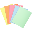 Pack of 100 folders SUPER 60 - 22x31cm/ Pc.