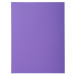 Pack of 50 1 flap folders ROCK'S 210 - 24x32cm/ Pc.