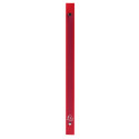 Classeur 4 anneaux 15mm polypropylène OPAK - A4/ Pce