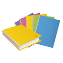 PK 10 map linnen rug- ROCK"S 320 geass./ St.