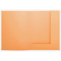 PK50 map SUPER 210  2 klep oranje-/ St.