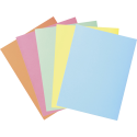 Pk 50 Folders SUPER 210 2 Flap canary/ Pc.