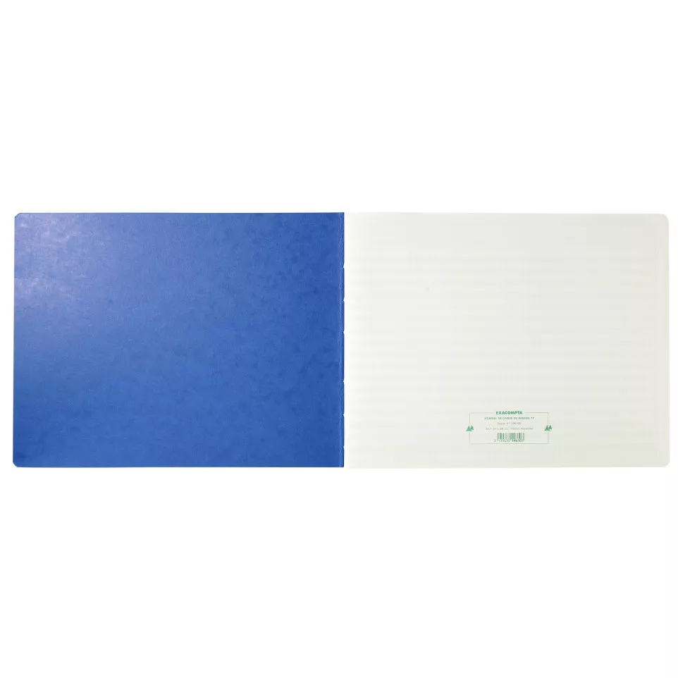 Piqûre Journal de caisse ou banque...