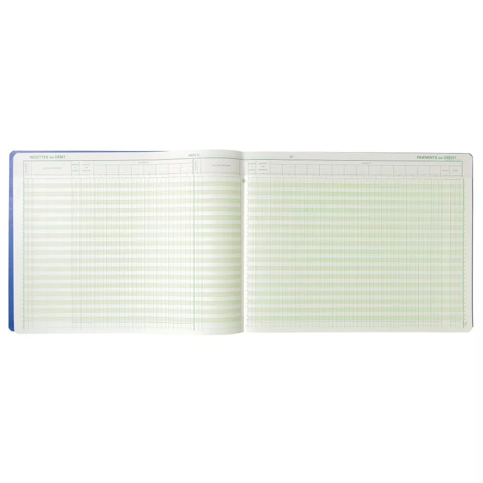 Piqûre Journal de caisse ou banque...