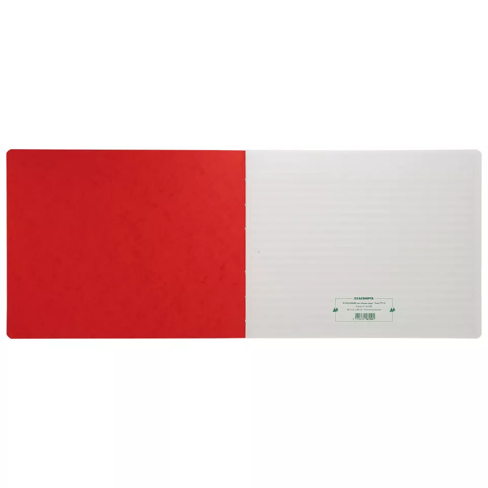 Piqure 29,7x38 uitg-hoofd15 kol80 bl/...