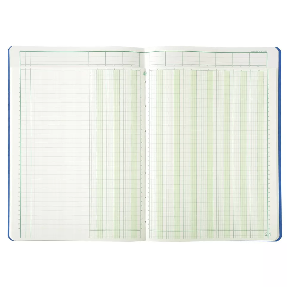 Piqure 29,7x21 uitg-hoofd 10 kol80bl/...