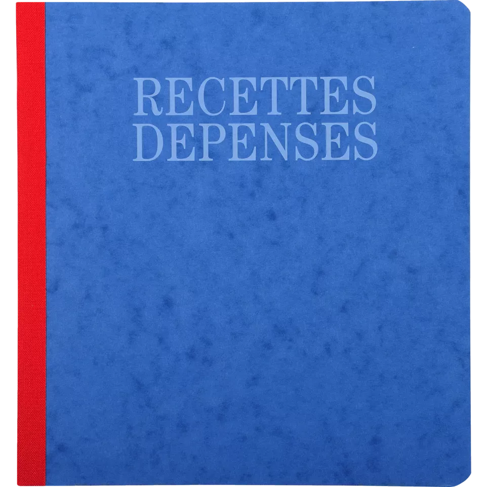 Piqûre 21x19cm recettes-dépenses 80...