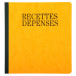 Piqûre 21x19cm recettes-dépenses 80 pages/ Pce