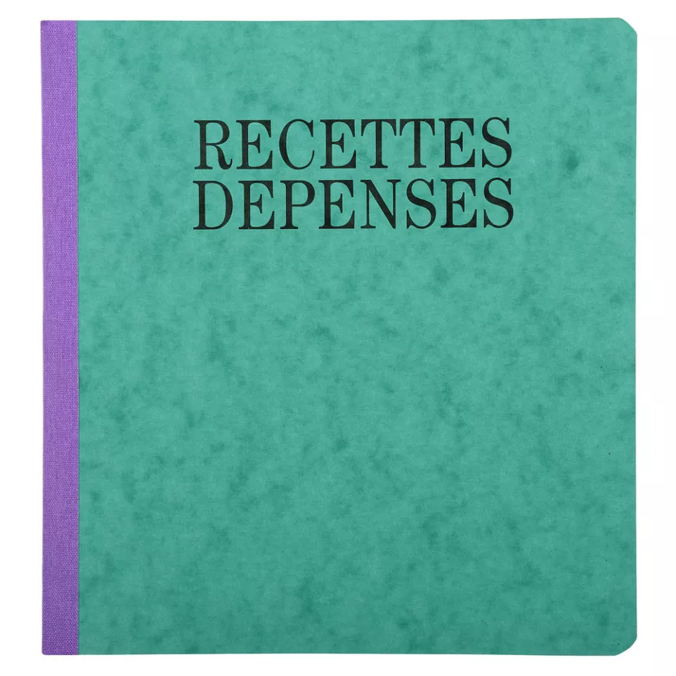 Piqûre 21x19cm recettes-dépenses 80...
