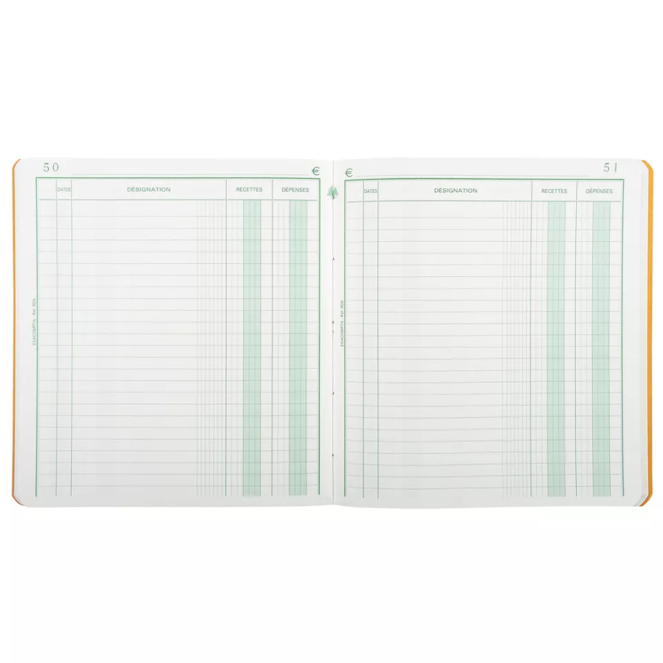 Piqûre 21x19cm recettes-dépenses 80...
