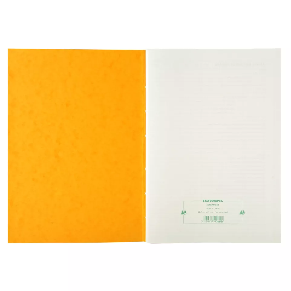 Piqûre 29,7x21cm échéancier 80 pages/...