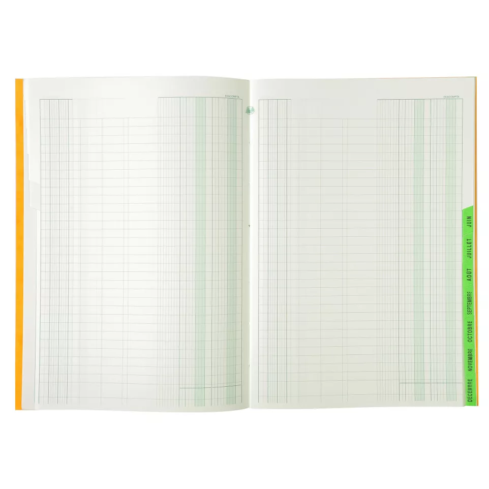 Piqûre 29,7x21cm échéancier 80 pages/...