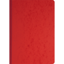 Piqure 29,7x21 Journaal  80 bl-/ St.