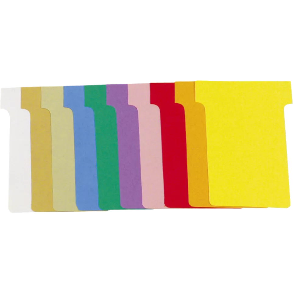 Carton de 10 étuis de 100 fiches en T...