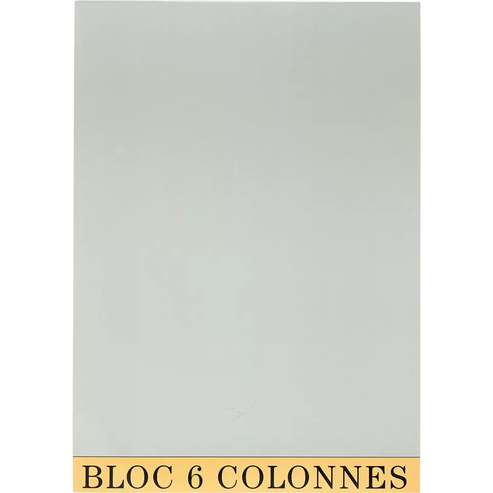 Bloc de contrôle comptable 29,7x21cm...