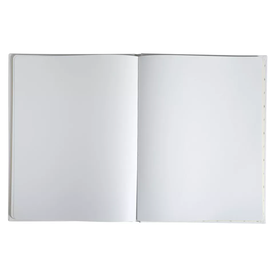 Gastenboek Livre d'O-r 27x22cm 100bl...