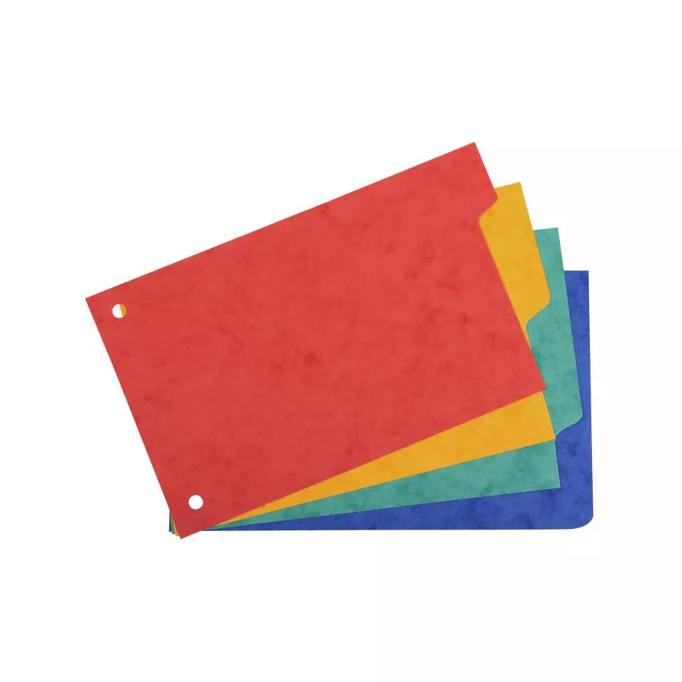 Tabbladen 10x15 glanskarton 4 tabs-on...