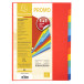 Campus Neon Multi A4 file, 225 gsm, 9 pockets/ Pc.