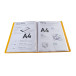 Display Book PP Welded Linicolor, A4/ Pc.