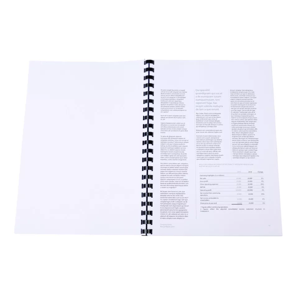 Boite 100 reliures spirales plastique...