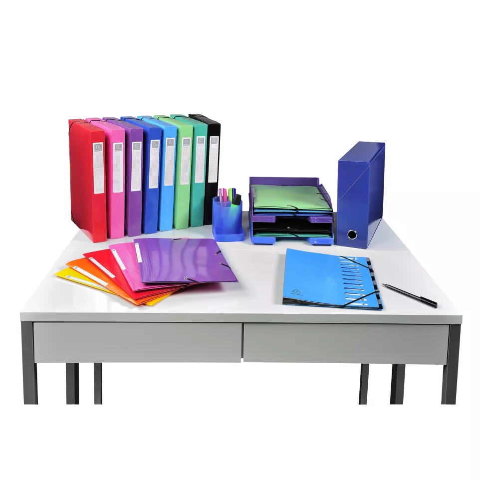 Filing box Iderama pressboard A4 S40...