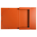 Exabox Opak PP Filing Box 25mm Spine A4./ Pc.