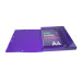 Klasseerdoos IDERAMA- PP rug 25mm ass./ St.