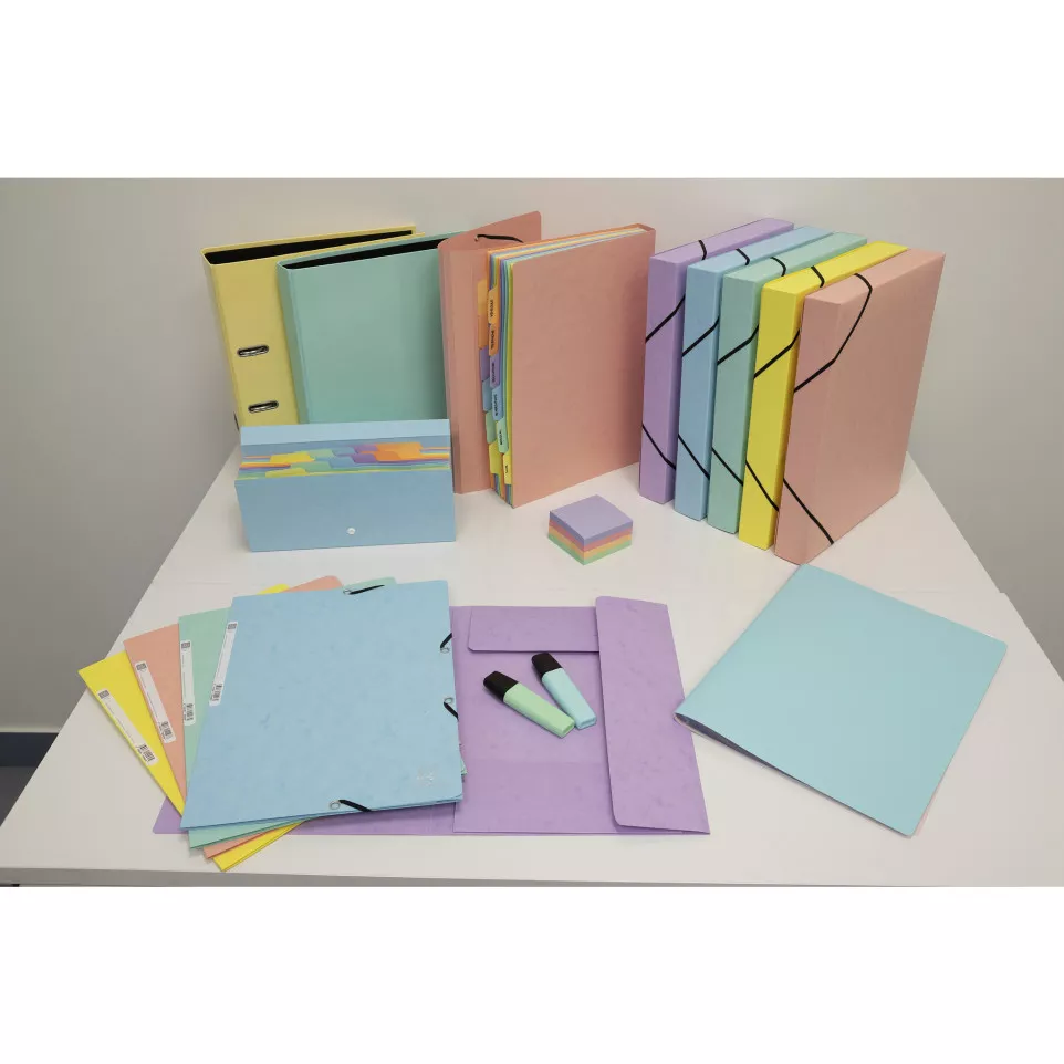 Boite de classement Exabox Dos 40mm...