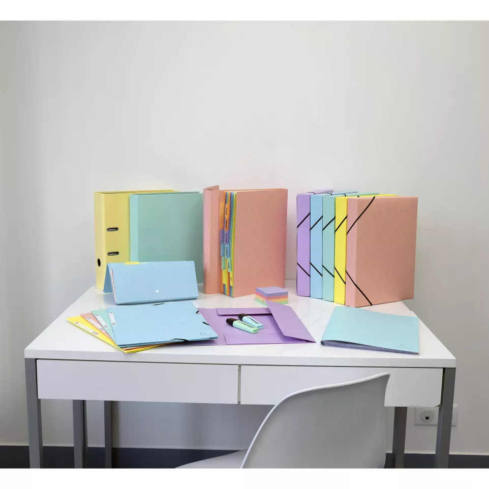 Boite de classement Exabox Dos 40mm...