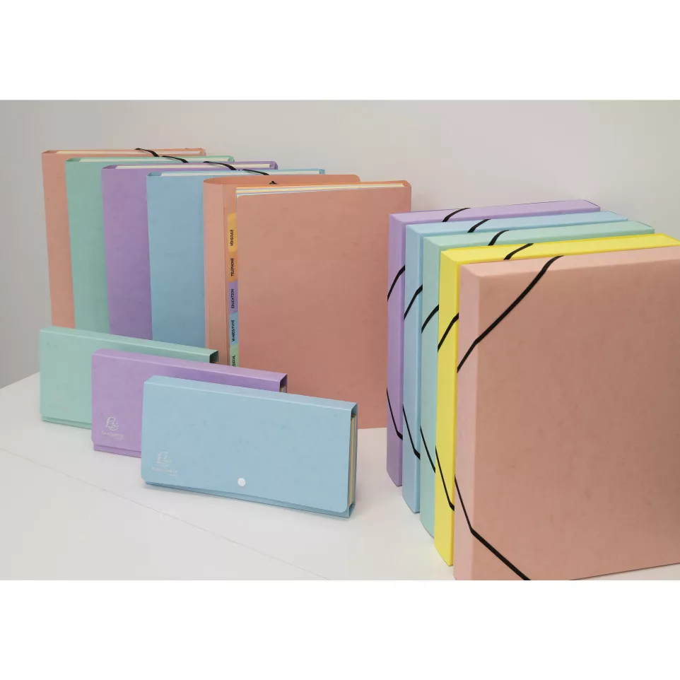 Boite de classement Exabox Dos 40mm...