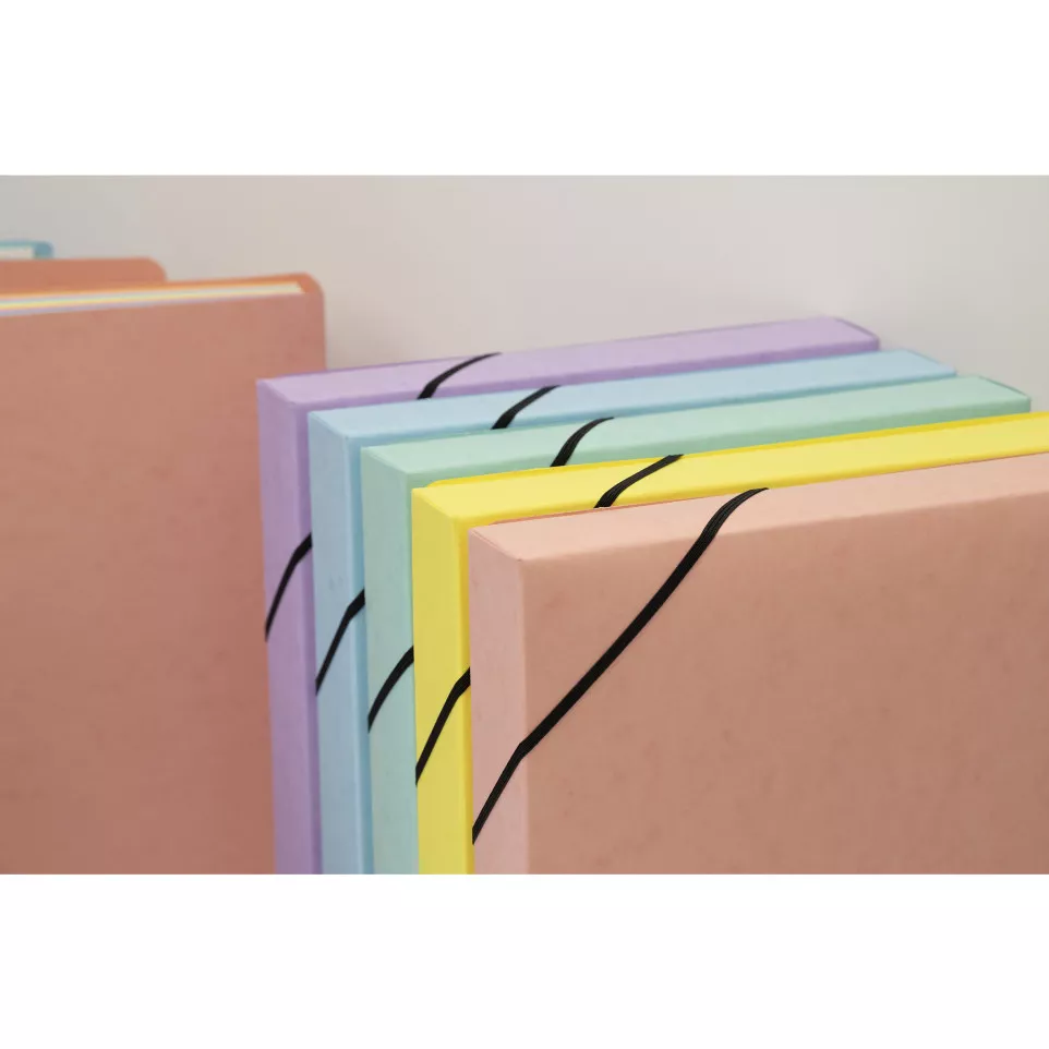 Boite de classement Exabox Dos 40mm...