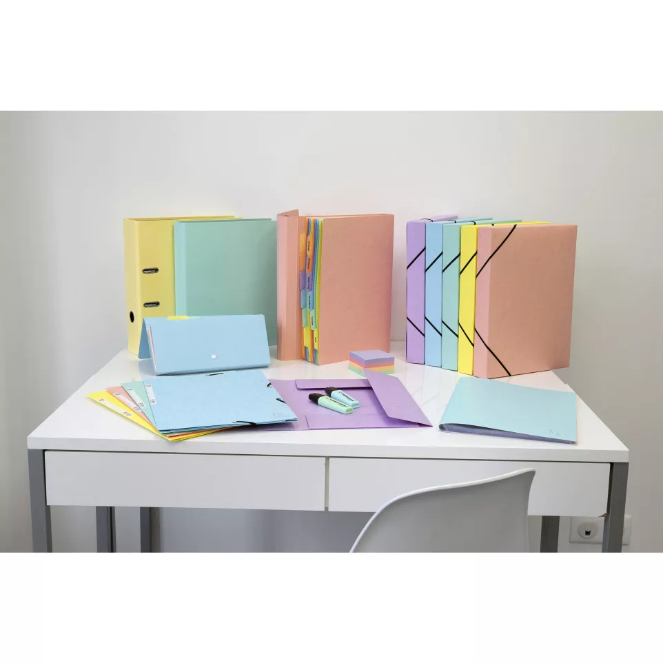 Boite de classement Exabox Dos 40mm...