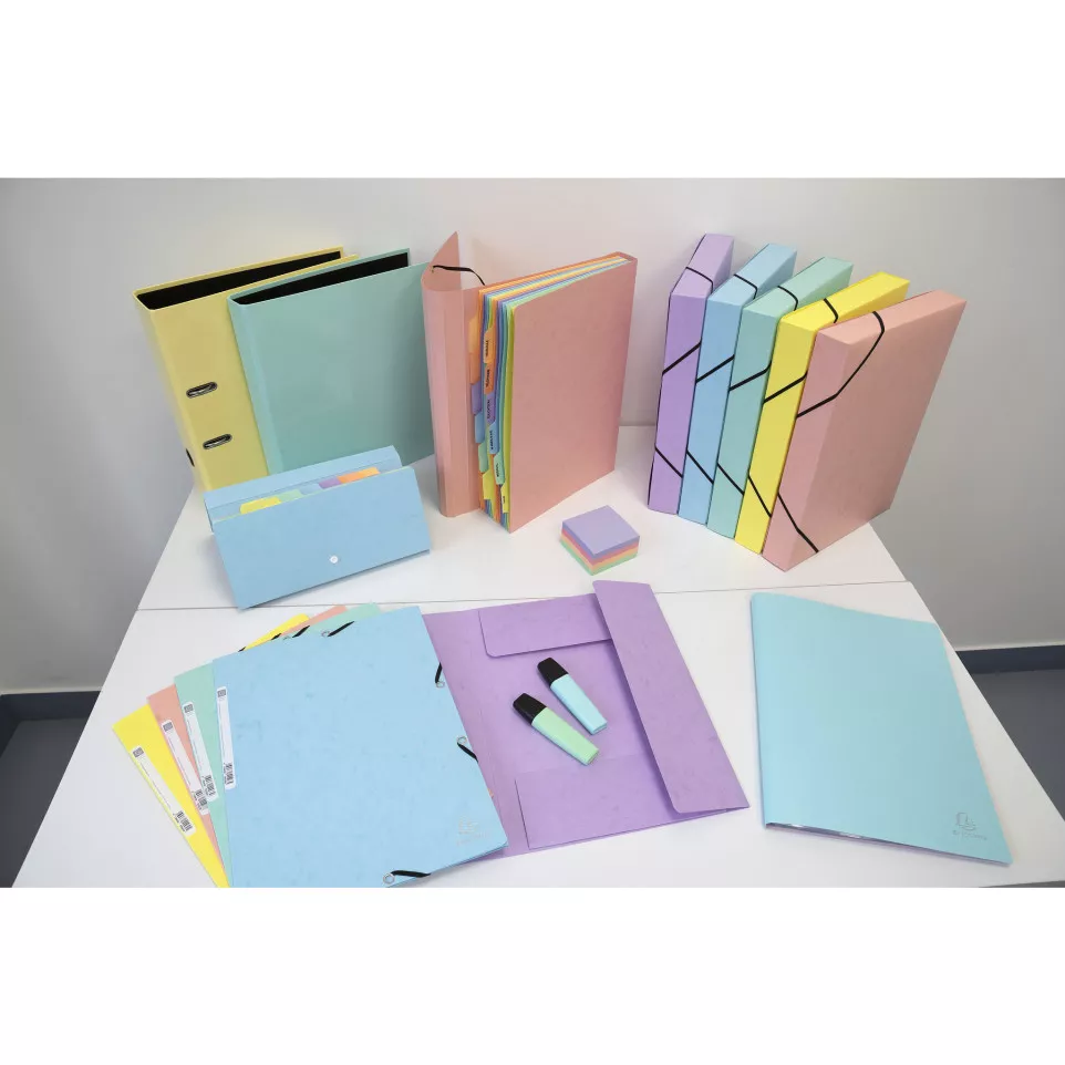 Boite de classement Exabox Dos 40mm...