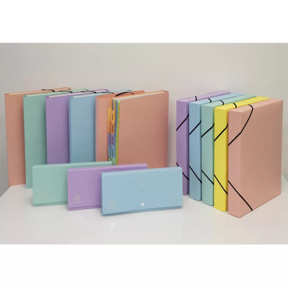 Boite de classement Exabox Dos 40mm...