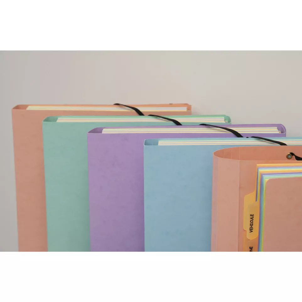 Pochette trieur carte multicolore 12...