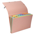 Pochette trieur carte multicolore 12 compartiments Aquarel - 34x24,5cm/ Pce