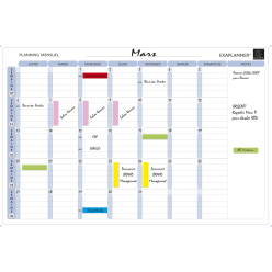 Exaplanner Wall Magnet Planner Month, French, White/ Pc.